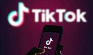 谷歌否认收购TikTok