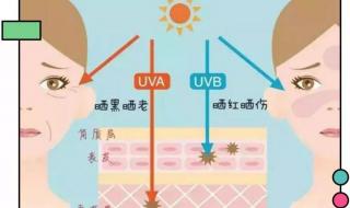 隔离霜和防晒霜的使用顺序